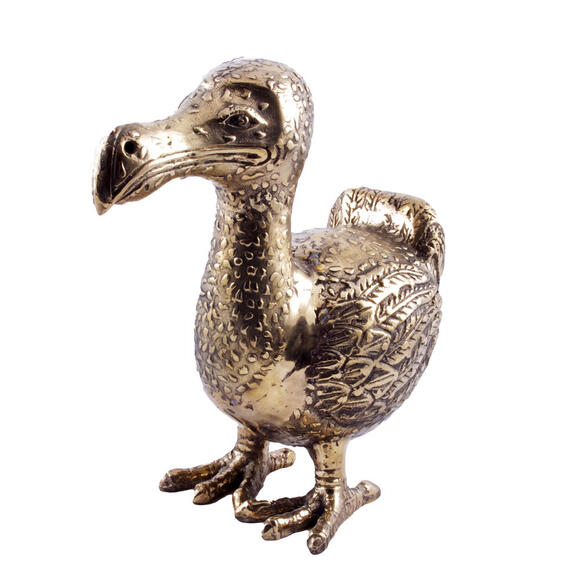 Product image 1 of Brass Dodo S