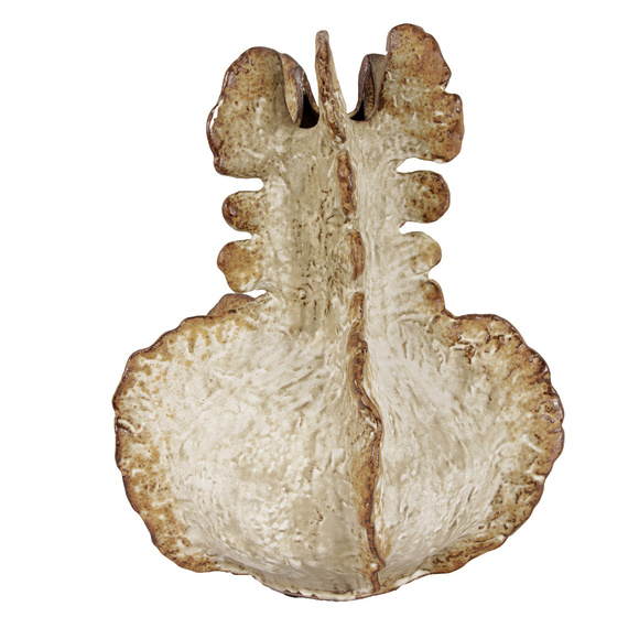 Product image 1 of Cerámica Jarrón Sen S
