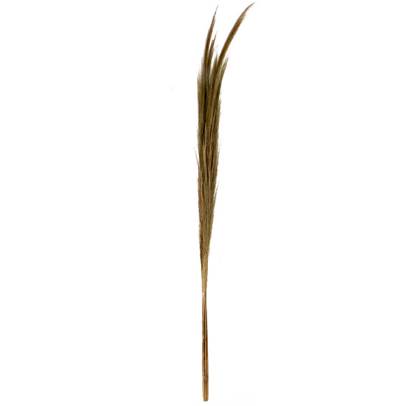 Product image 1 of Fardo pequeño de heno J12 Natural
