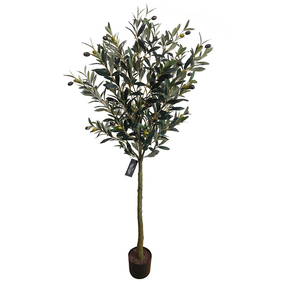 Product image 1 of Olivier 150cm