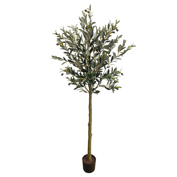 Product image 1 of Olivier 180cm