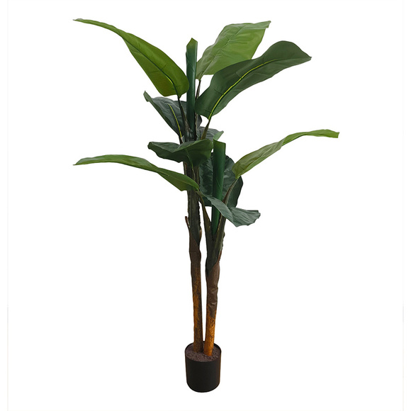 Product image 1 of Platanero 120cm