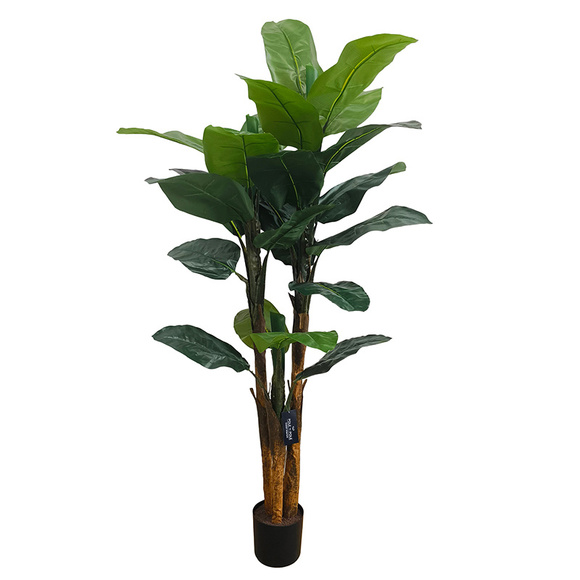Product image 1 of Platanero 180cm