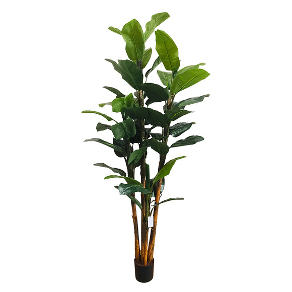 Product image 1 of Platanero 240cm