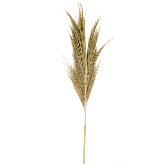 Product image 1 of Pluma mini de heno J24 Natural
