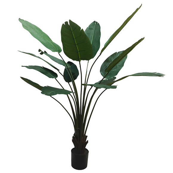 Product image 1 of Travellers Palmera 180cm